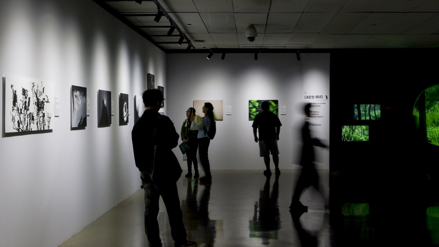 佳能行摄生态中国 鸟者边缘摄影艺术展