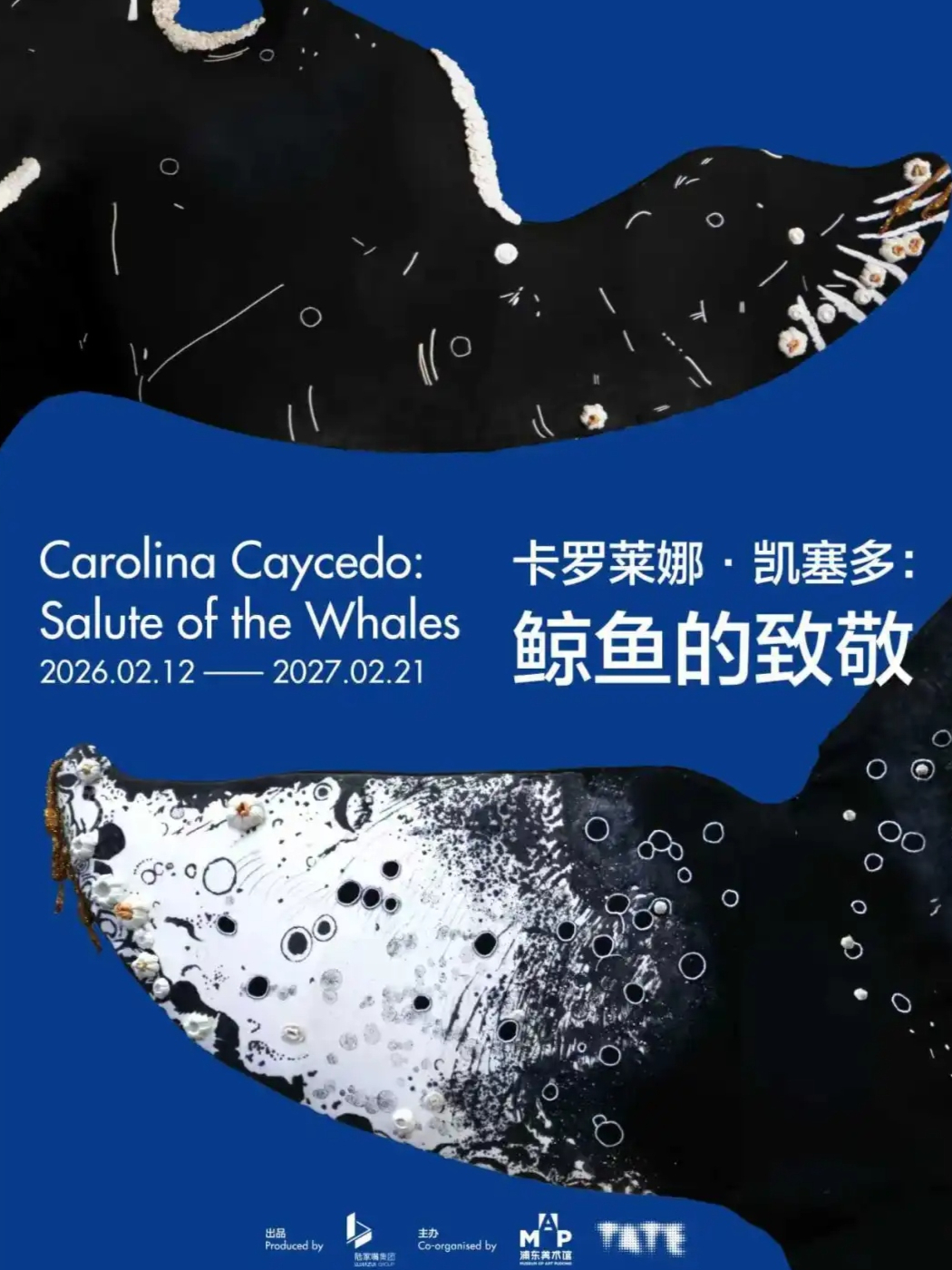 卡罗莱娜·凯塞多：鲸鱼的致敬