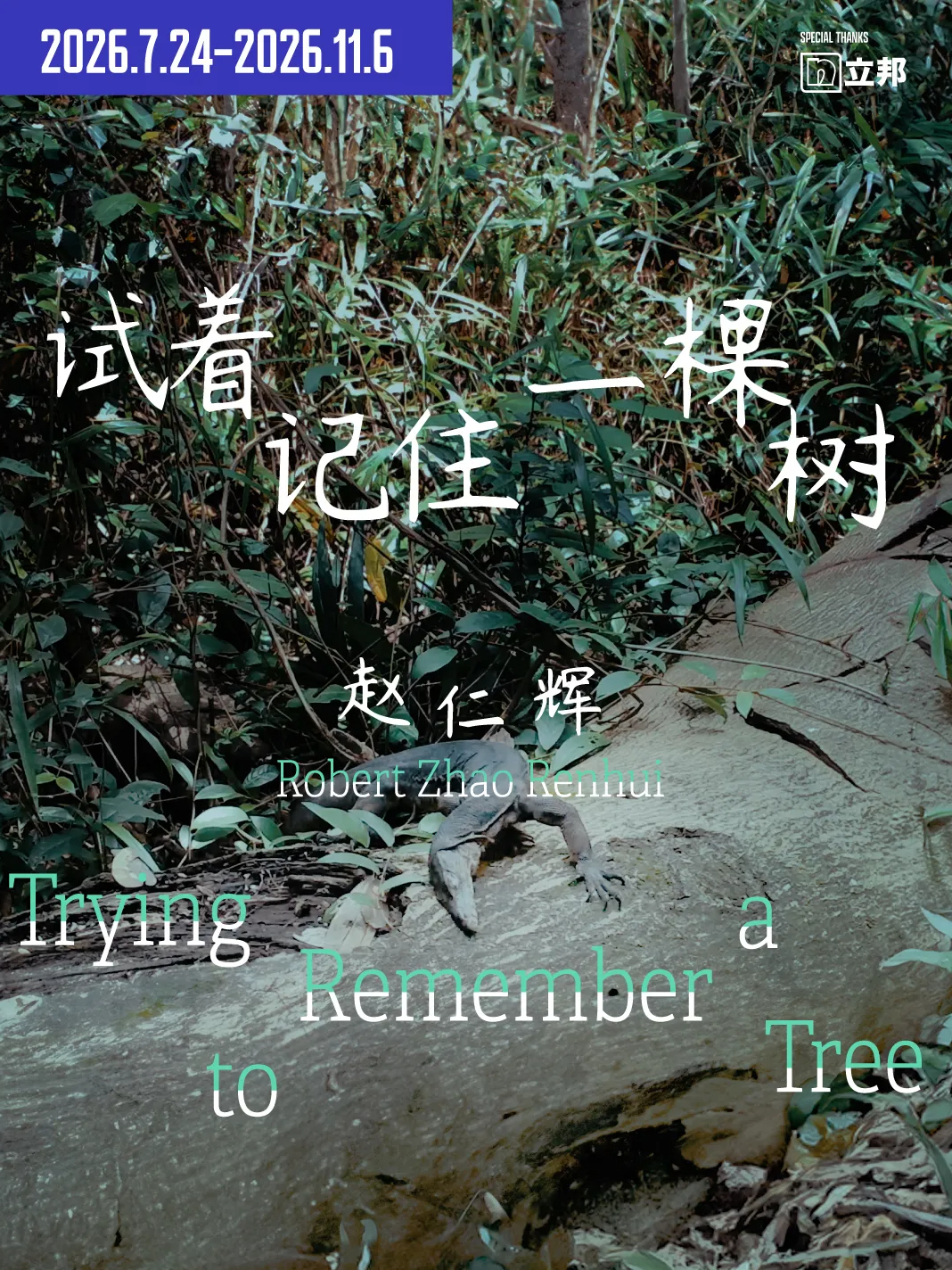 赵仁辉：试着记住一棵树
