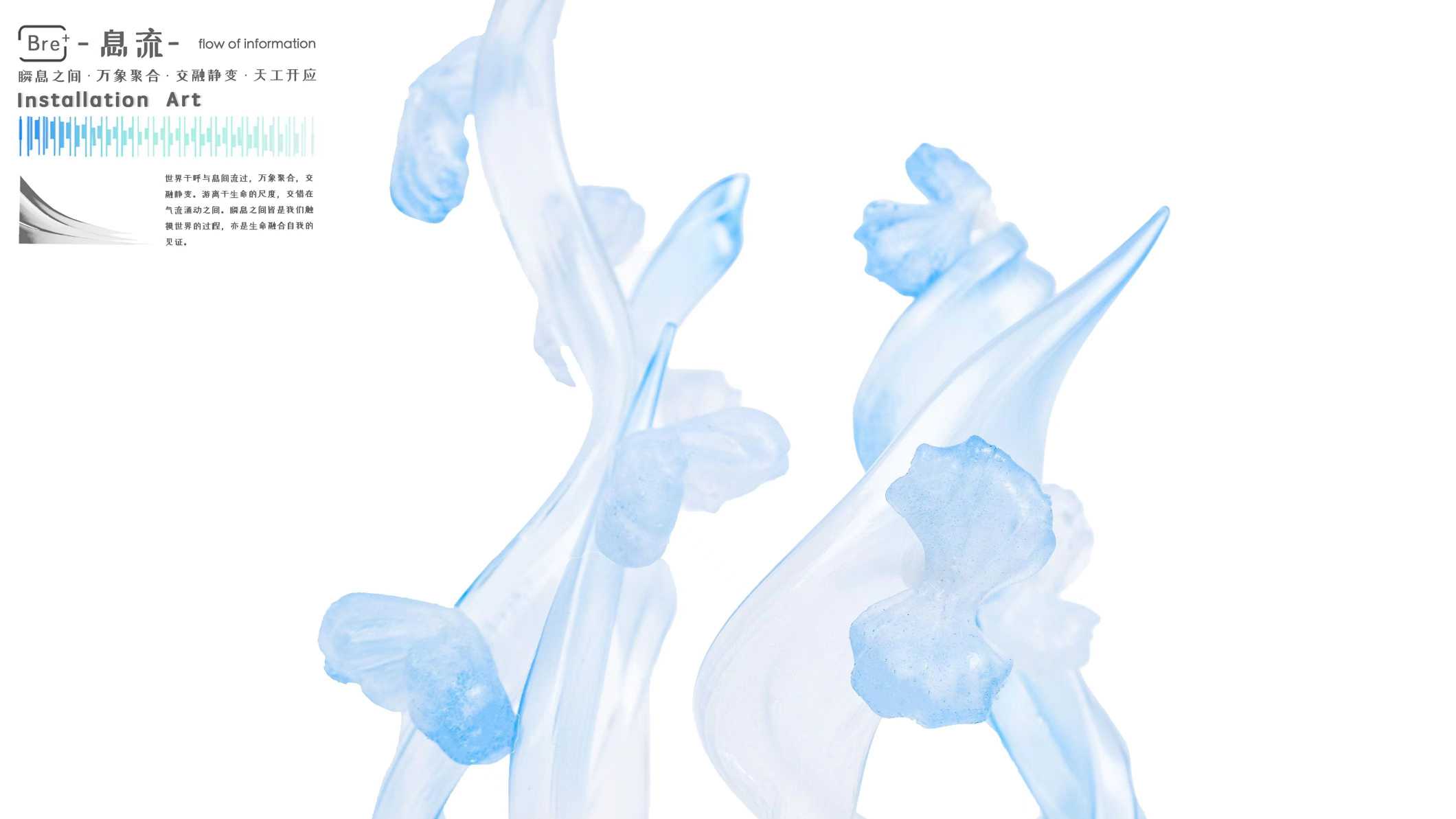 息流-Bio·Breathe   水生物呼吸交互装置